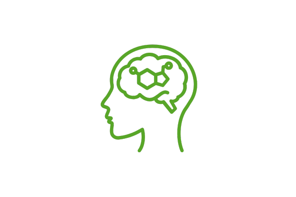 dihexa and cognitive mechanism