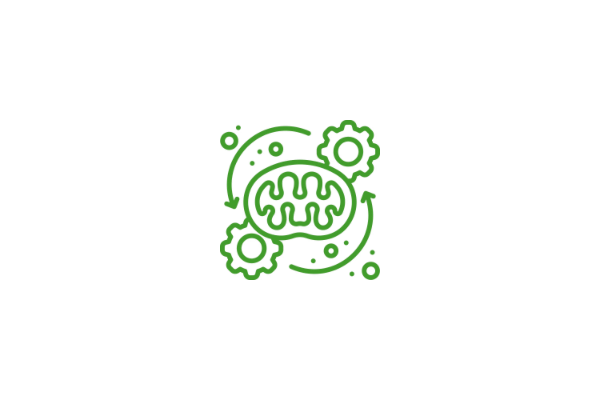 symbol of mitochonrial health