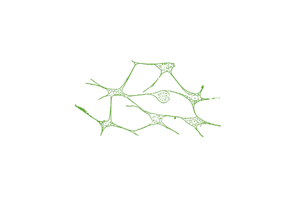Abstract design showing peptides as messenger molecules connecting cells, symbolizing peptide therapy research applications.