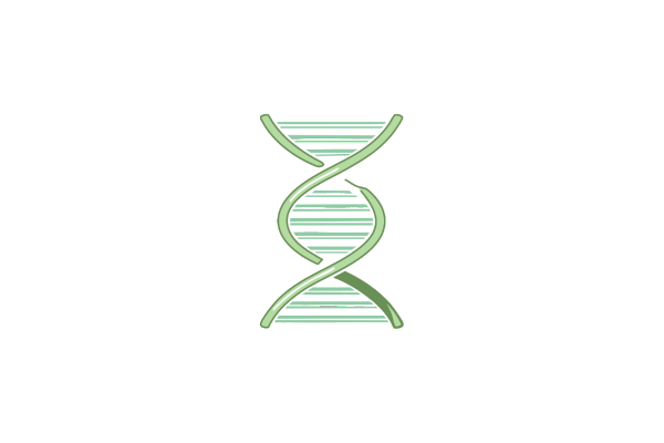Stylized hourglass with a DNA double helix inside, symbolizing longevity and healthspan extension research.